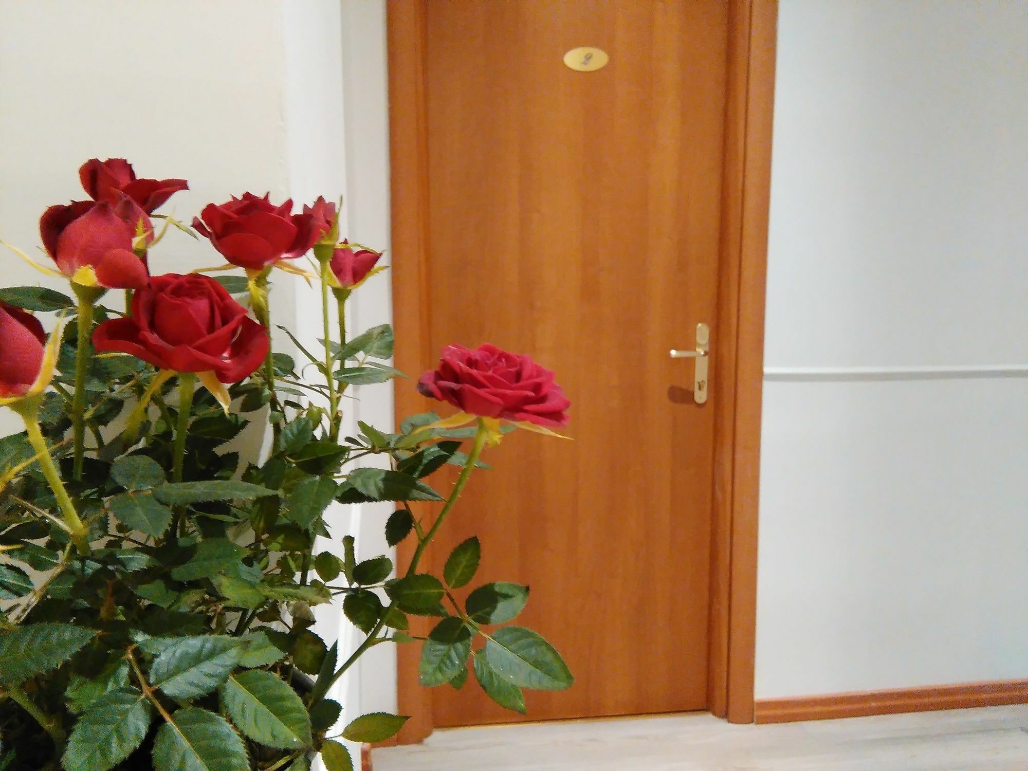 Villa Borghese Guest House Rome Exterior photo